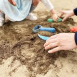 自然体験・自然が多い：幼稚園志望動機の書き方・例文