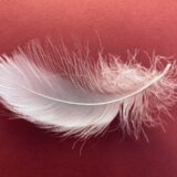 【成人式を口実に連絡してみる】 また同級生と繋がりたい【LINE例文集】