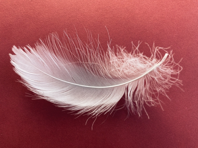 【成人式を口実に連絡してみる】 また同級生と繋がりたい【LINE例文集】