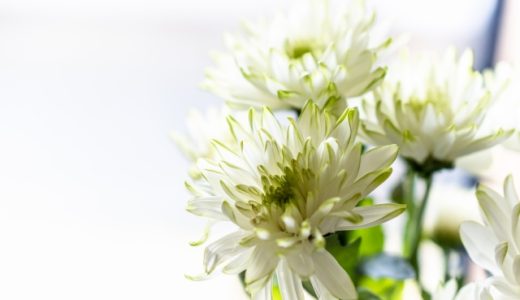 親が亡くなったことを知らせる（事後報告で葬儀も終わっている）メール・手紙・ハガキ例文・書き方