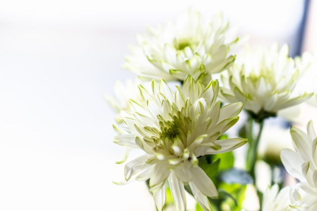 親が亡くなったことを知らせる（事後報告で葬儀も終わっている）メール・手紙・ハガキ例文・書き方