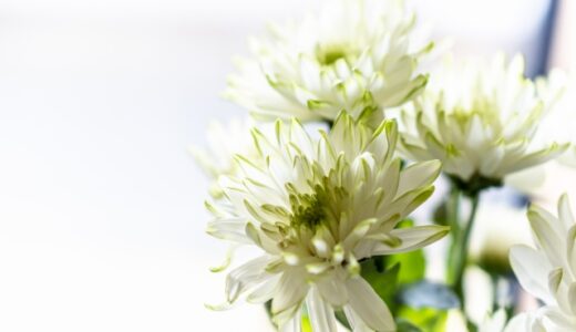 同級生の(ご主人/奥様)お悔みメール