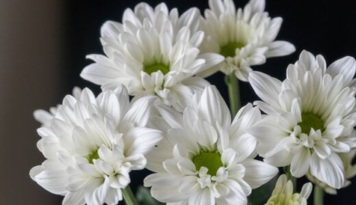 「学校への忌引き連絡」で使えるお悔やみのメール・LINE例文