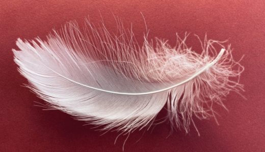 謦咳（けいがい）とは？|意味・言い回しメールでの注意点を例文を使用して説明