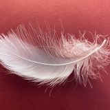 グローバルサウスとは？ビジネスでの意味・日本語での言い換え・言い回しての使い方と注意点