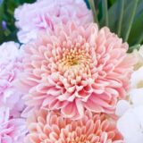 ビジネス・会社関係のお葬式|香典の正しい書き方は？表書きや金額、名前の書き方とマナー